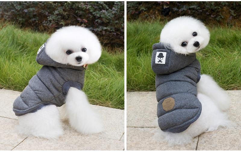 Colete de Inverno para Cachorros | Gentleman